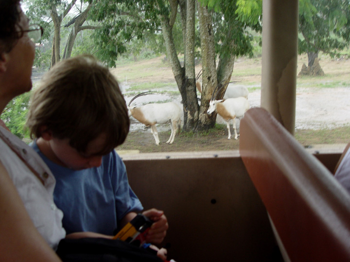 WDW03(80).JPG